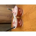 りお|渋谷区 宇田川町のキャバクラ|BABEL(バベル)