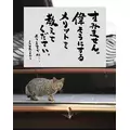 るな|船橋市 本町のキャバクラ|Donfin(ドンフィン)