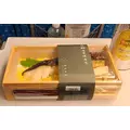 八吹 唯菜|さいたま市 大宮区仲町のキャバクラ|ai(アイ)