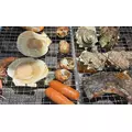 ゆな|小田原市 栄町のガールズバー|& Co.(アンドコー)