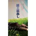 ゆうな|長崎市 銅座町のキャバクラ|QUEEN(クイーン)