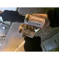 羽蘭|長崎市 本石灰町のキャバクラ|AERA(アエラ)