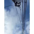 あや|越谷市 南越谷のラウンジ|Fine(ファイン)