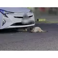 エミ (スタッフ)|海部郡 蟹江町錦のキャバクラ|carthago(カルタゴ)