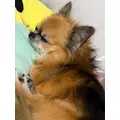 めい|船橋市 本町のキャバクラ|Donfin(ドンフィン)