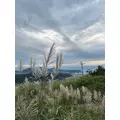 神崎 蘭|札幌市 中央区南のニュークラブ|Leicester(レスター)