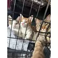ゆう|長崎市 銅座町のキャバクラ|QUEEN(クイーン)