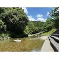 朝倉 しおり|名古屋市 中区錦の姉キャバクラ|ジュリアナ()