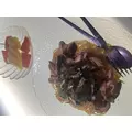 みさ|長崎市 本石灰町のニュークラブ|ADANSONIA(アダンソニア)