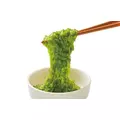 すーざん|鹿児島市 山之口町のスナック|ことり()