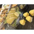 せりな|立川市 錦町の朝キャバ|HYATT《朝》(ハイアット《朝》)