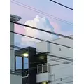 みお|小田原市 栄町のガールズバー|& Co.(アンドコー)