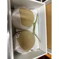 みらい|福岡市 博多区中洲のキャバクラ|Cielo(シエロ)