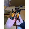まみ|船橋市 西船のキャバクラ|西船橋 Vellugue(西船橋 ヴェルージュ)