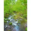 ひな|船橋市 西船のキャバクラ|西船橋 Vellugue(西船橋 ヴェルージュ)
