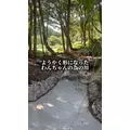 みこ|福岡市 博多区中洲のキャバクラ|ROYALE(ロワイヤル)