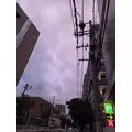 ほのか|福岡市 博多区中州のスナック|HALEMOANA(ハレモアナ)