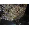 まどか|長崎市 本石灰町のニュークラブ|ADANSONIA(アダンソニア)