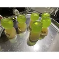美城 胡桃|越谷市 南越谷のキャバクラ|Selene(セレネ)