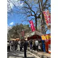 桜乃 咲美|札幌市 すすきののニュークラブ|Fillia(フィリア)