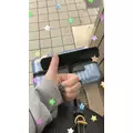 のどち スタッフ|大阪市 中央区東心斎橋のガールズバー|CHANCE(チャンス)