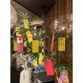 かんな|新宿区 歌舞伎町のラウンジ|LP TOKYO(エルピー トウキョウ)