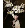 のあめろ|熊本市 中央区花畑町のスナック|melody(メロディー)