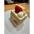 野本 明日香|札幌市 中央区南のニュークラブ|Leicester(レスター)