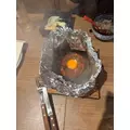 まどか|川越市 脇田町のコンセプトカフェ|Portion(ポーション)
