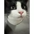あやね|長崎市 本石灰町のキャバクラ|AERA(アエラ)