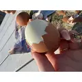 愛|長崎市 銅座町のキャバクラ|QUEEN(クイーン)