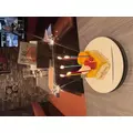 ゆか|新宿区 歌舞伎町のラウンジ|:(コロン)