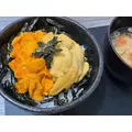 咲良 水月|札幌市 すすきののニュークラブ|Fillia(フィリア)