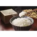 みさき|福岡市 博多区中州のスナック|HALEMOANA(ハレモアナ)