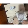 みさ|長崎市 本石灰町のニュークラブ|ADANSONIA(アダンソニア)