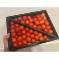 美月|都城市 牟田町のキャバクラ|Jardin(ハルディン)
