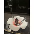 ゆず|渋谷区 宇田川町のキャバクラ|BABEL(バベル)