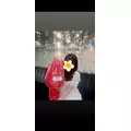 しおん|新宿区 歌舞伎町のラウンジ|:(コロン)