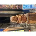 さほ|さいたま市 大宮区仲町のキャバクラ|Luxe(ラグゼ)