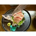 朝倉 しおり|名古屋市 中区錦の姉キャバクラ|ジュリアナ()