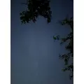 ハク|海部郡 蟹江町錦のキャバクラ|carthago(カルタゴ)