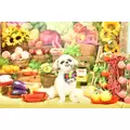 桜乃 なつ|札幌市 すすきののニュークラブ|桃李(トウリ)