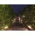 さくら|台東区 上野のガールズバー|Girls-Land-(ガールズランド)