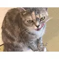 マリア|長崎市 銅座町のキャバクラ|QUEEN(クイーン)