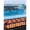えりか|豊橋市 松葉町のキャバクラ|Club the Club(クラブザクラブ)