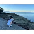 のあめろ|熊本市 中央区花畑町のスナック|melody(メロディー)