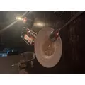 せり|渋谷区 宇田川町のキャバクラ|BABEL(バベル)