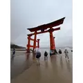 香川 ゆい|札幌市 中央区南のニュークラブ|Leicester(レスター)