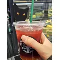エミ （スタッフ）|海部郡 蟹江町錦のキャバクラ|carthago(カルタゴ)