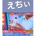 紫音|越谷市 南越谷のキャバクラ|Ammon(アモン)